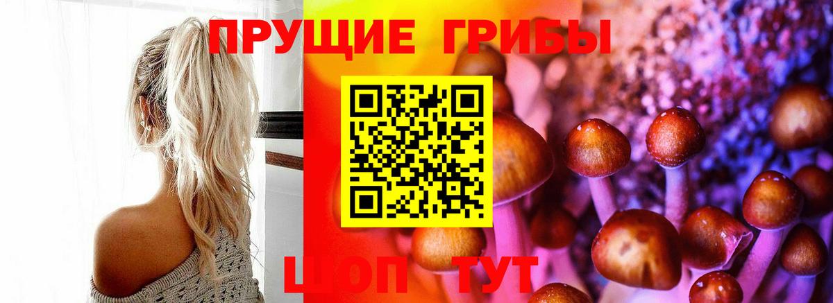 Галлюциногенные грибы Cubensis  Галлюциногенные грибы MAGIC MUSHROOMS  Саратов  Вход с VPN 